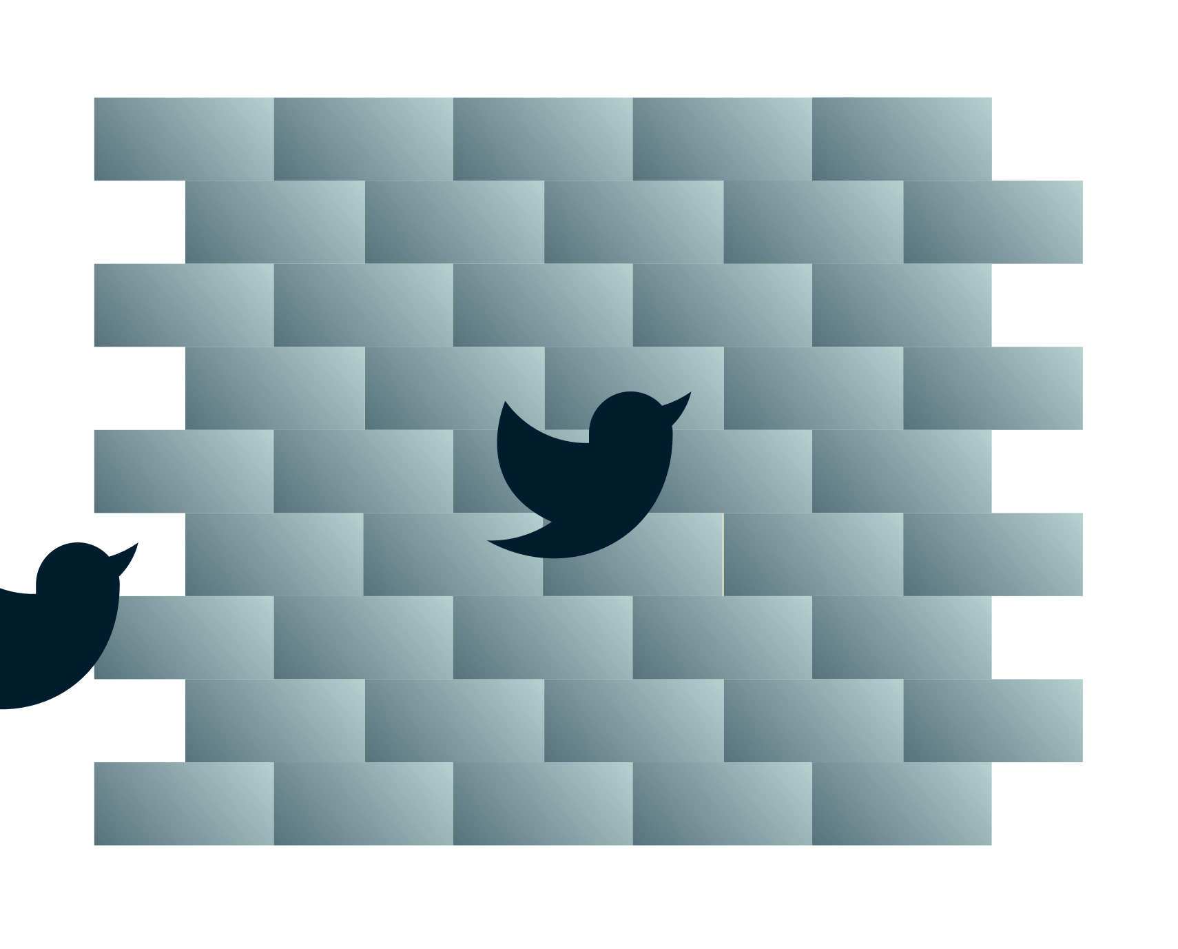 Twitter-fugler p&aring; vei inn i en vegg.